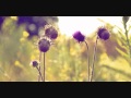 Amy Grant - Overnight