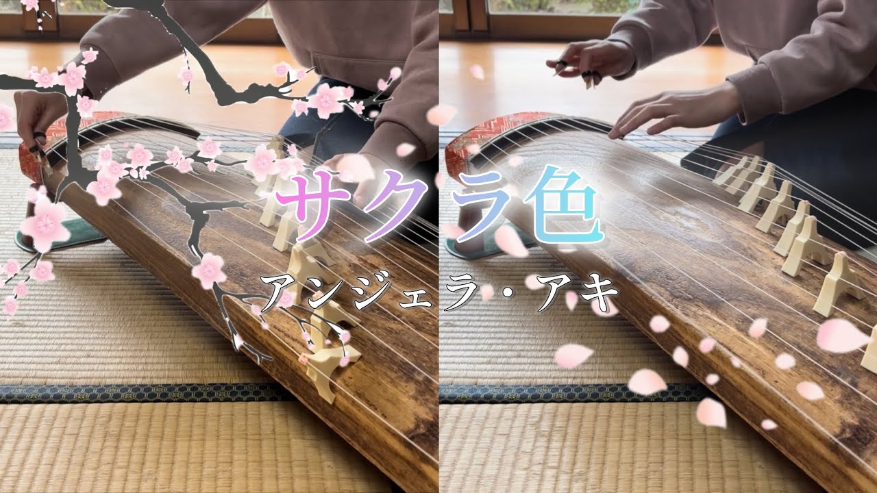 サクラ色/アンジェラ・アキ　箏二重奏(楽譜あり)