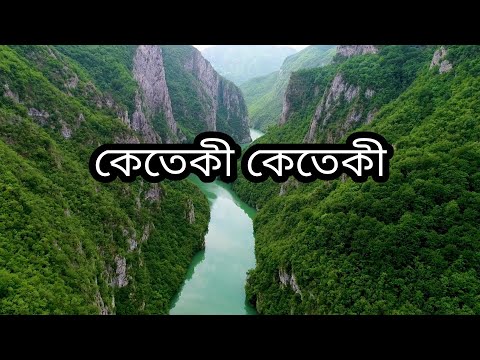 Natural Cinematic View || Nature Drone Shot Video | Sannidhya Bhuyan Keteki Keteki Whatsapp Status