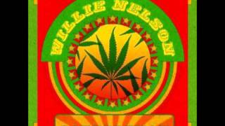 Willie Nelson - Do You Mind Too Much If I Don't Understand