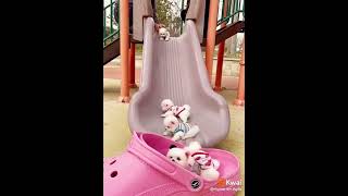 Quem quer desse? Aí meu 💗