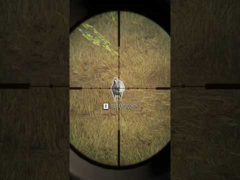 Gänse in Hirschfelden #gaming #tipps #callofthewild