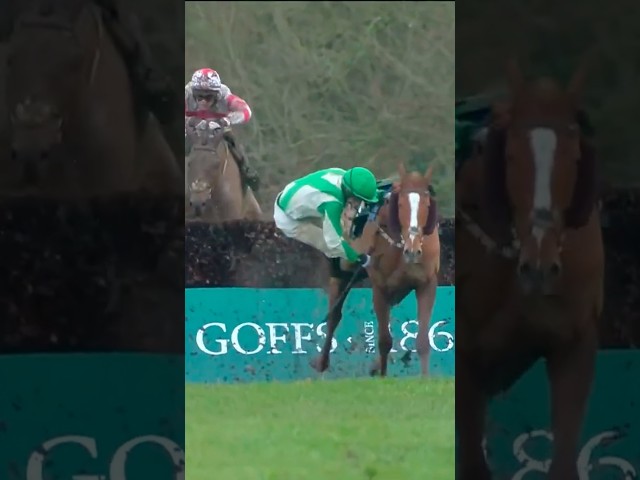 Thumbnail for Post ID: jhQadm7Q3AU