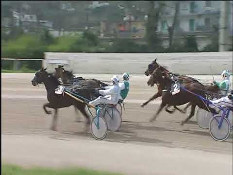 Trotto 25/03/2018 - 2ª corsa