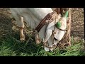 Annadata Etv Farming Annadata Song