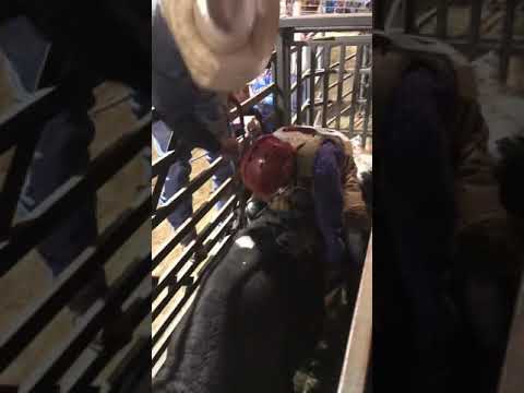 Riding Bulls in Waycross, GA