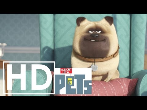 (Official)  Secret Life of Pets Music Video - Do your Thing - Basement Jaxx