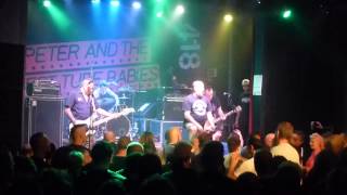Peter and the Test Tube Babies @ Düsseldorf (26.9.2015) - Keep Britain Untidy