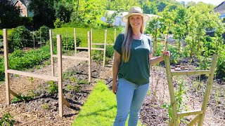 DIY Trellis Designs for Fall-Bearing and Summer-Bearing Raspberries