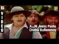 Yamaleela A Ni Jeenu Pantu Choosi Bullemmoy Video Telugu Ali Indraja