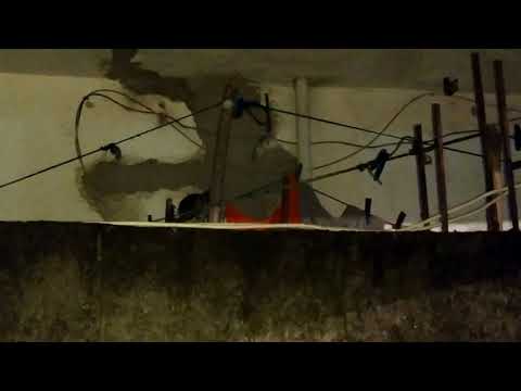 A INVASÃO DOS RATOS