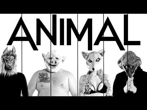 Video thumbnail for Animal