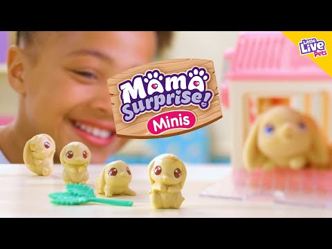 Little Live Pets Mama Surprise Mini-Set - Intro (angleščina)