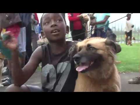 Funda Nenja parade 2016