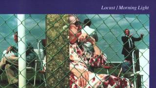 Locust - Summer Rain