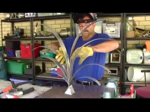 Agapanthus Project  2014