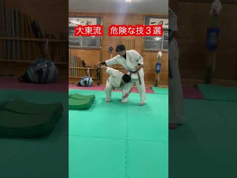 【大東流】危険な技3選！！#aikido ＃karate #martial #合気道 #武道 #空手