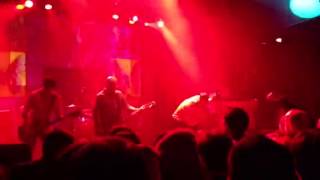 Inspiral Carpets - Butterfly