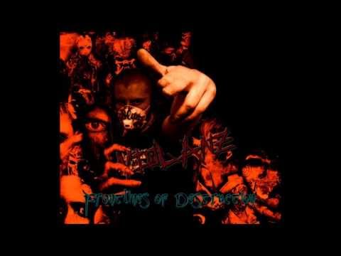 Violanz - Vermächtnis