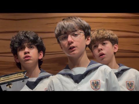 Shchedryk (Carol of the Bells) Wiener Sängerknaben·Haydnchor 