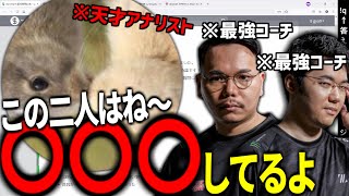 ZETAの天才アナリストgya9が語るコーチ・アナリストの役割【gya9】【切り抜き】