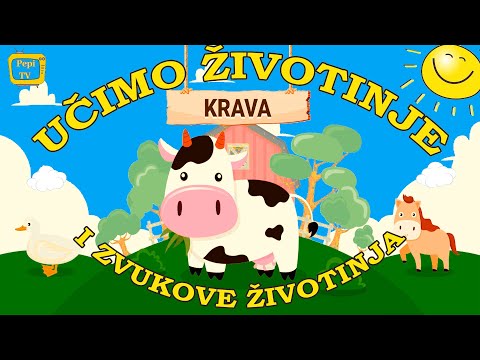 Učimo Životinje - Pepi TV crtani za djecu - Zvukovi zivotinja - Ucimo Dinosaure - domace zivotinje