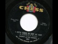 MAURICE AND THE RADIANTS - I gotta dance to ...