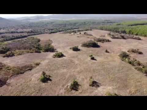 FAZENDA A VENDA NO MUNICÍPIO DE DIORAMA NO ESTADO DE GOIÁS