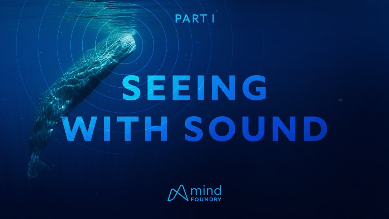 Seeing With Sound