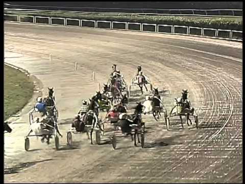 Trotto 29/01/2015 - 8° Corsa - TRIS