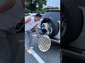 The Best Trick For Taking Your Dog In The Car