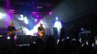 Pixies perform 