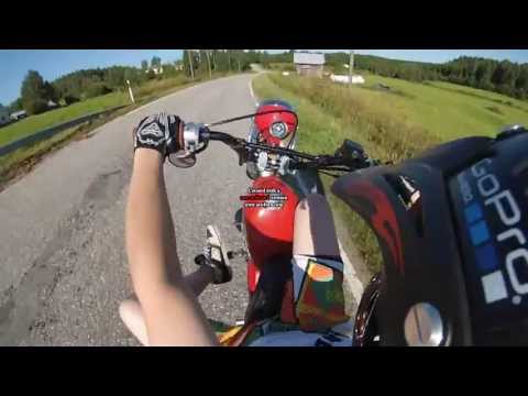 Kaikennäköstä temppuilua monkeesilla