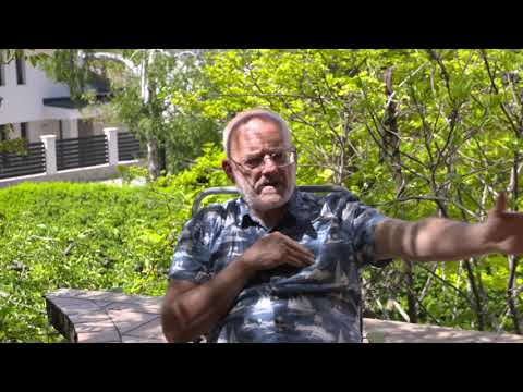 Pályaválasztás: Nyilastól a Halakig