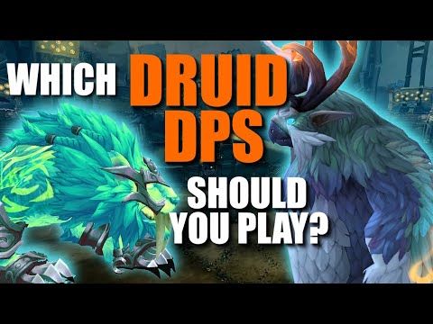 FERAL VS. BALANCE Which Is Better? -- WoW Patch 11.1