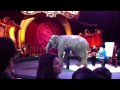 The Circus 11 23 10