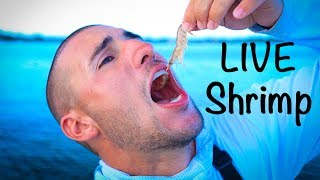 Fishing Challenge.. Loser Eats LIVE SHRIMP!! (Gross)