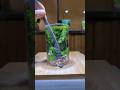 This Guy Makes a LIVING From MOSS! 🤯🌿 | Miniature Forest in a Jar DIY