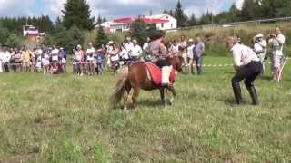 preview picture of video 'Fête du cheval 2013 (version longue) Châteauneuf de Randon (Lozère)'