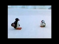 Pingu Cannot Lose Clip Pingu Official Channel