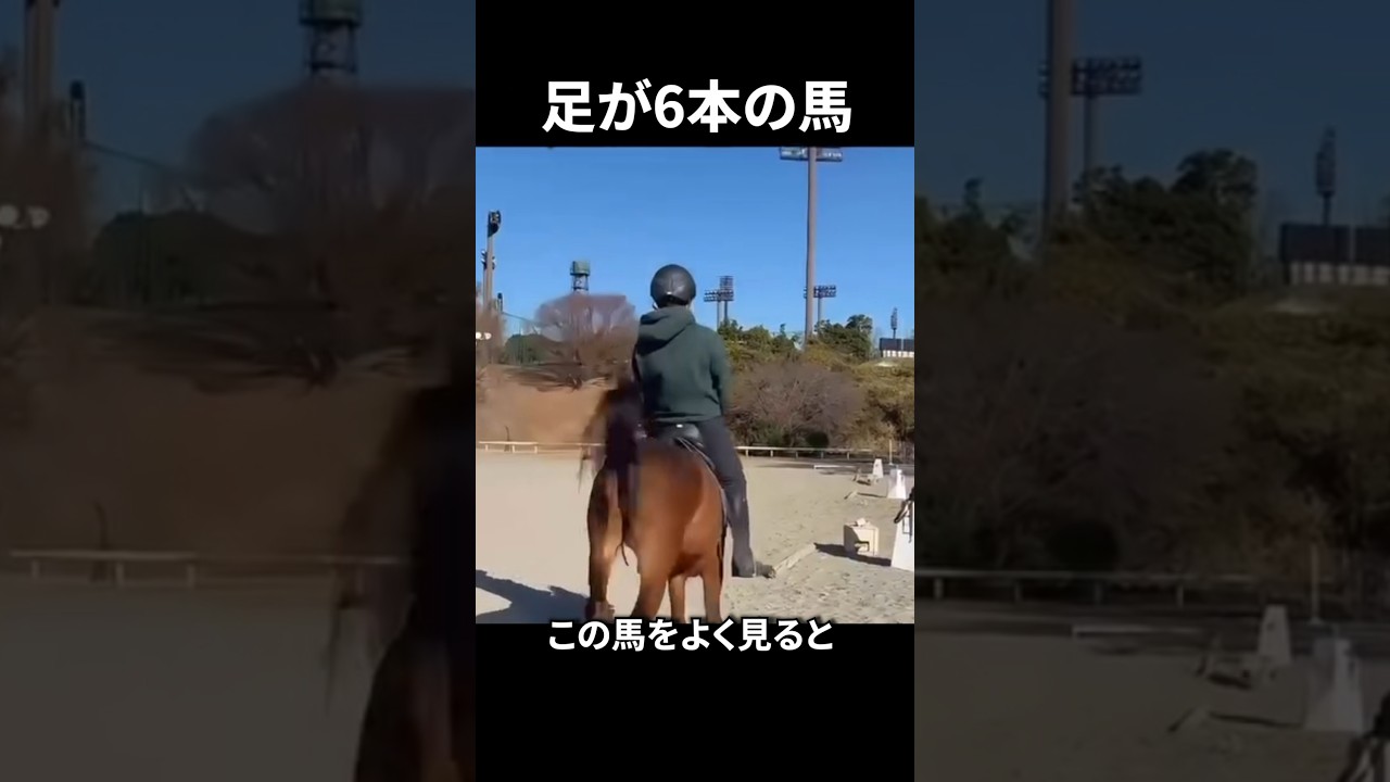 足が6本ある馬？？？