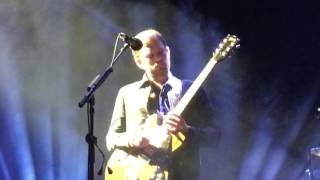 Wild by Kings of Leon