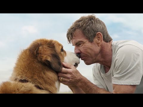 The dog finds his old owner after being re-born 4 times!!