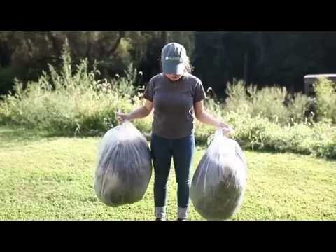 A Wool Story | Processing A Fleece In A Fiber Mill by A Girl Named Leney