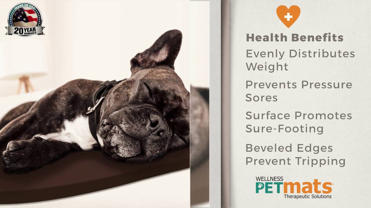 Orthopedic Wellness Dog Bed