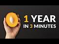 I Grew A Mango Tree From Seed And Filmed It For 1 YEAR