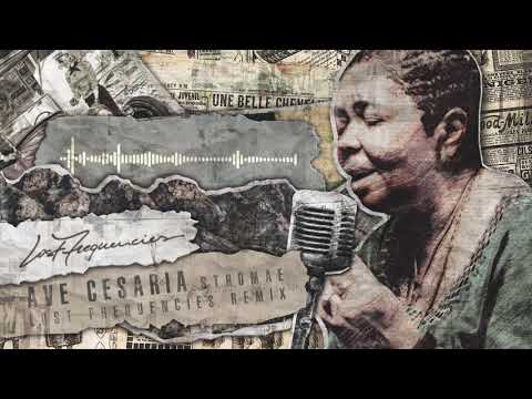 Stromae - Ave Cesaria (Lost Frequencies Remix)