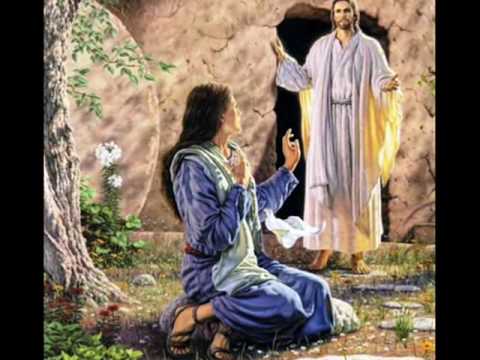 OS MEUS OLHOS VERÃO O REI JESUS