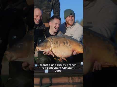 Venue videos photo 1