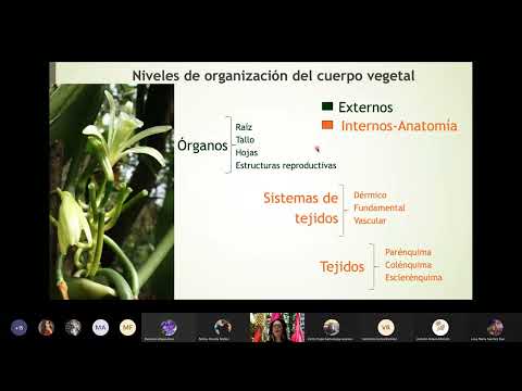 Clase de Botánica - Histología vegetal 1
